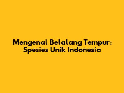 Mengenal Belalang Tempur: Spesies Unik Indonesia