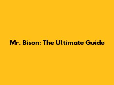 Mr. Bison: The Ultimate Guide