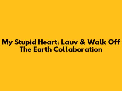 My Stupid Heart: Lauv & Walk Off The Earth Collaboration