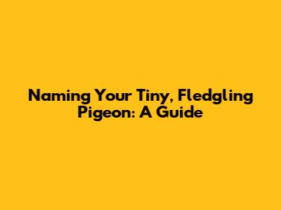 Naming Your Tiny, Fledgling Pigeon: A Guide