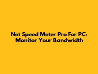 Net Speed Meter Pro For PC: Monitor Your Bandwidth