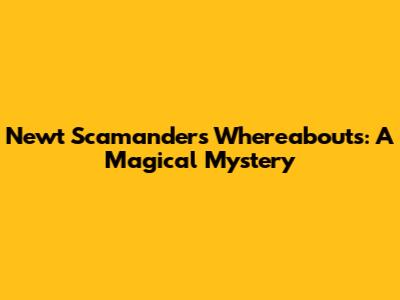 Newt Scamander's Whereabouts: A Magical Mystery