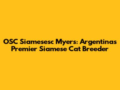 OSC "Siamesesc" Myers: Argentina's Premier Siamese Cat Breeder