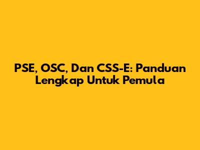 PSE, OSC, Dan CSS-E: Panduan Lengkap Untuk Pemula