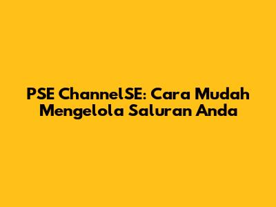 PSE ChannelSE: Cara Mudah Mengelola Saluran Anda