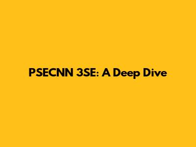 PSECNN 3SE: A Deep Dive