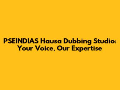 PSEINDIAS Hausa Dubbing Studio: Your Voice, Our Expertise