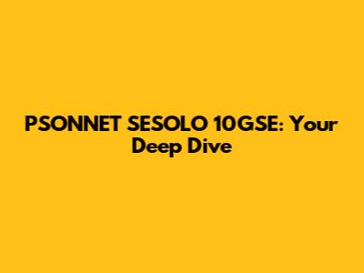 PSONNET SESOLO 10GSE: Your Deep Dive