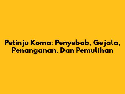 Petinju Koma: Penyebab, Gejala, Penanganan, Dan Pemulihan