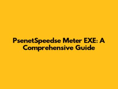 PsenetSpeedse Meter EXE: A Comprehensive Guide