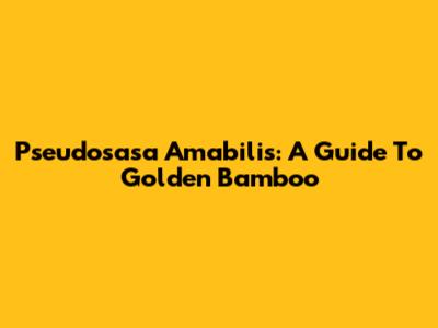 Pseudosasa Amabilis: A Guide To Golden Bamboo