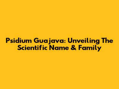 Psidium Guajava: Unveiling The Scientific Name & Family
