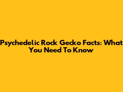 Psychedelic Rock Gecko Facts: What You Need To Know