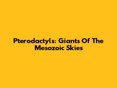 Pterodactyls: Giants Of The Mesozoic Skies