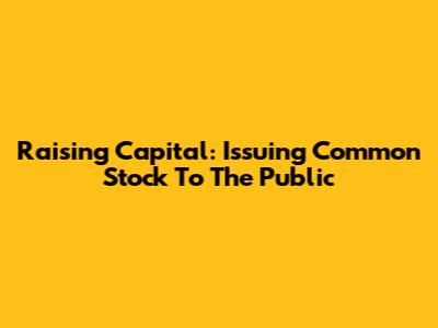 Raising Capital: Issuing Common Stock To The Public