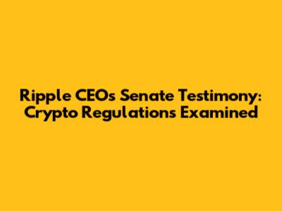 Ripple CEO's Senate Testimony: Crypto Regulations Examined