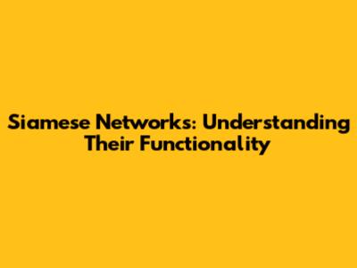 Siamese Networks: Understanding Their Functionality