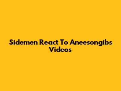 Sidemen React To Aneesongib's Videos