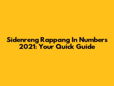 Sidenreng Rappang In Numbers 2021: Your Quick Guide