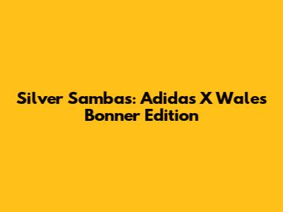 Silver Sambas: Adidas X Wales Bonner Edition