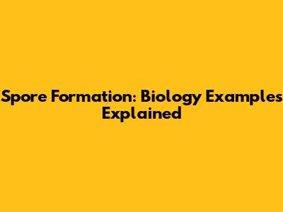 Spore Formation: Biology Examples Explained
