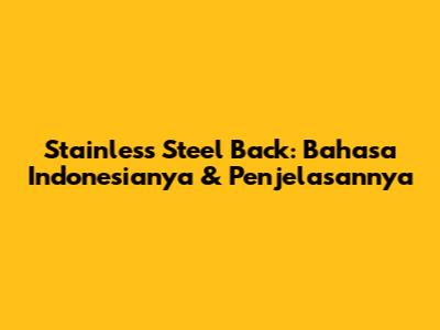 Stainless Steel Back: Bahasa Indonesianya & Penjelasannya
