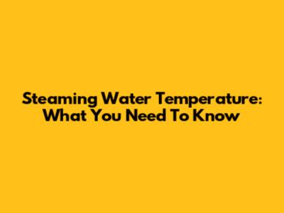 Steaming Water Temperature: What You Need To Know