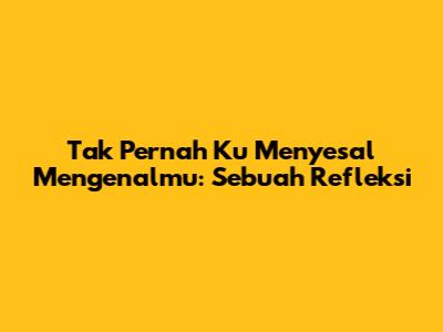 Tak Pernah Ku Menyesal Mengenalmu: Sebuah Refleksi