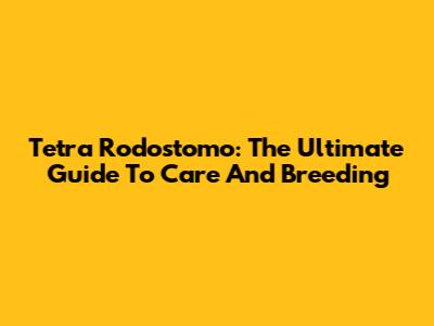 Tetra Rodostomo: The Ultimate Guide To Care And Breeding
