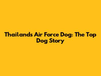 Thailand's Air Force Dog: The Top Dog Story