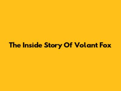The Inside Story Of Volant Fox