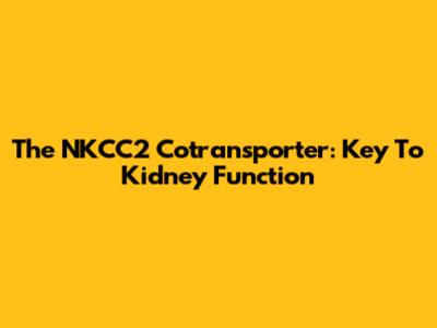The NKCC2 Cotransporter: Key To Kidney Function