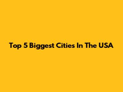 Top 5 Biggest Cities In The USA