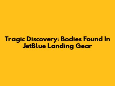 Tragic Discovery: Bodies Found In JetBlue Landing Gear
