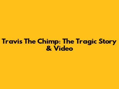Travis The Chimp: The Tragic Story & Video