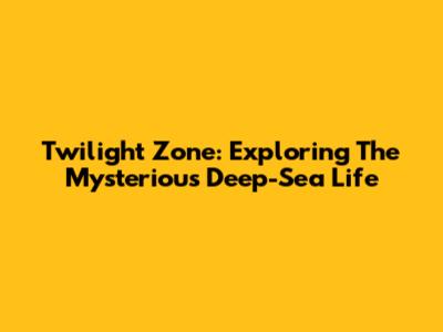 Twilight Zone: Exploring The Mysterious Deep-Sea Life