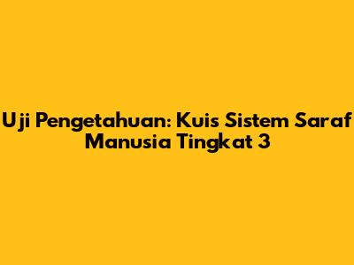 Uji Pengetahuan: Kuis Sistem Saraf Manusia Tingkat 3