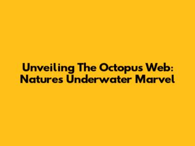 Unveiling The Octopus Web: Nature's Underwater Marvel