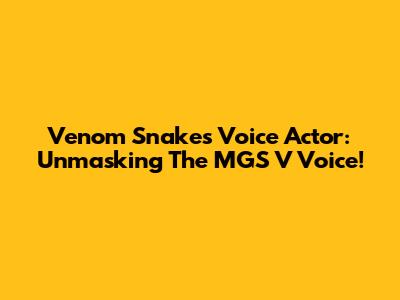 Venom Snake's Voice Actor: Unmasking The MGS V Voice!