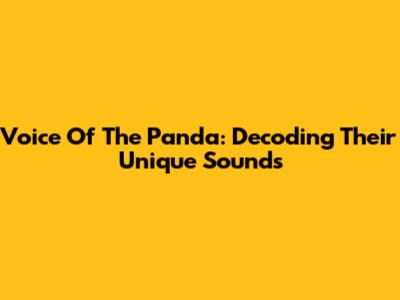 Voice Of The Panda: Decoding Their Unique Sounds
