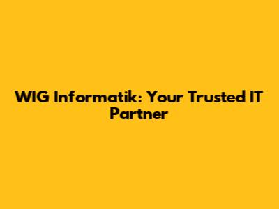 WIG Informatik: Your Trusted IT Partner