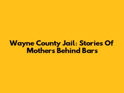 Wayne County Jail: Stories Of Mothers Behind Bars