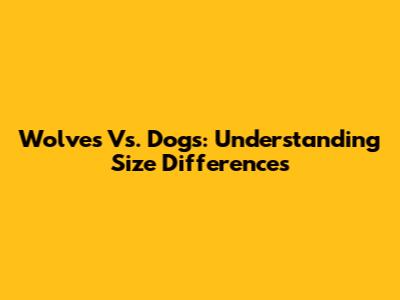 Wolves Vs. Dogs: Understanding Size Differences