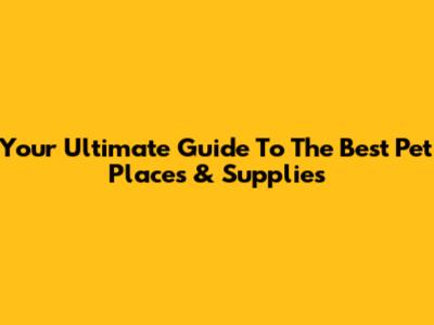 Your Ultimate Guide To The Best Pet Places & Supplies